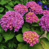 img_20240831_031942 — копия